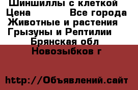 Шиншиллы с клеткой › Цена ­ 8 000 - Все города Животные и растения » Грызуны и Рептилии   . Брянская обл.,Новозыбков г.